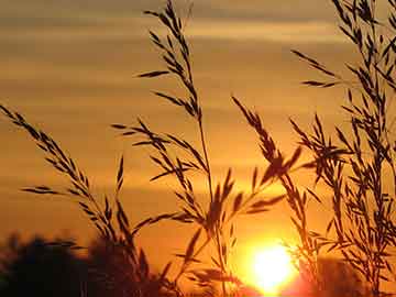 凤城打胎药流吃什么药比较好呢（打胎药流吃什么药比较好呢图片）